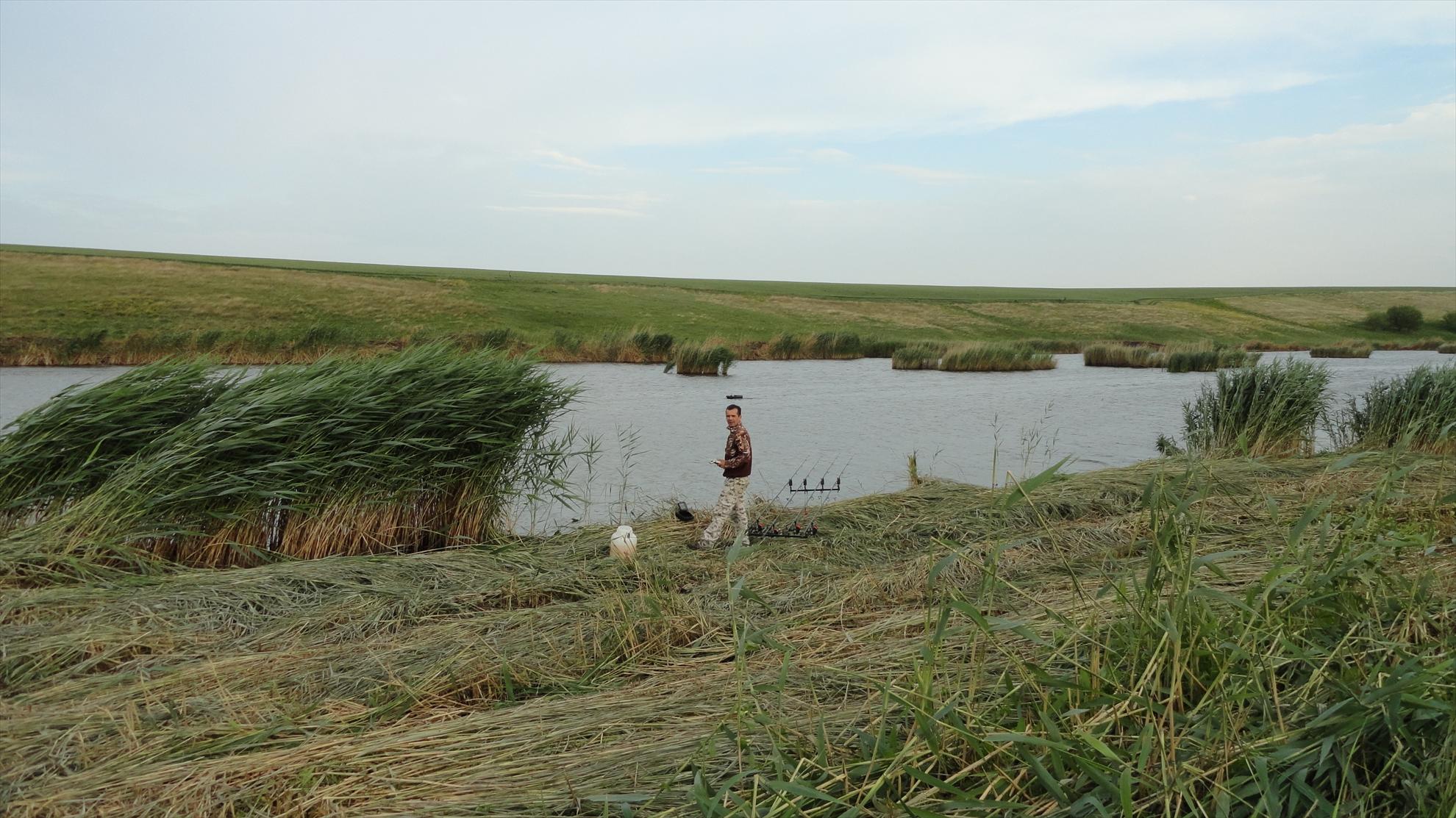 pupaza - dsc00704.JPG